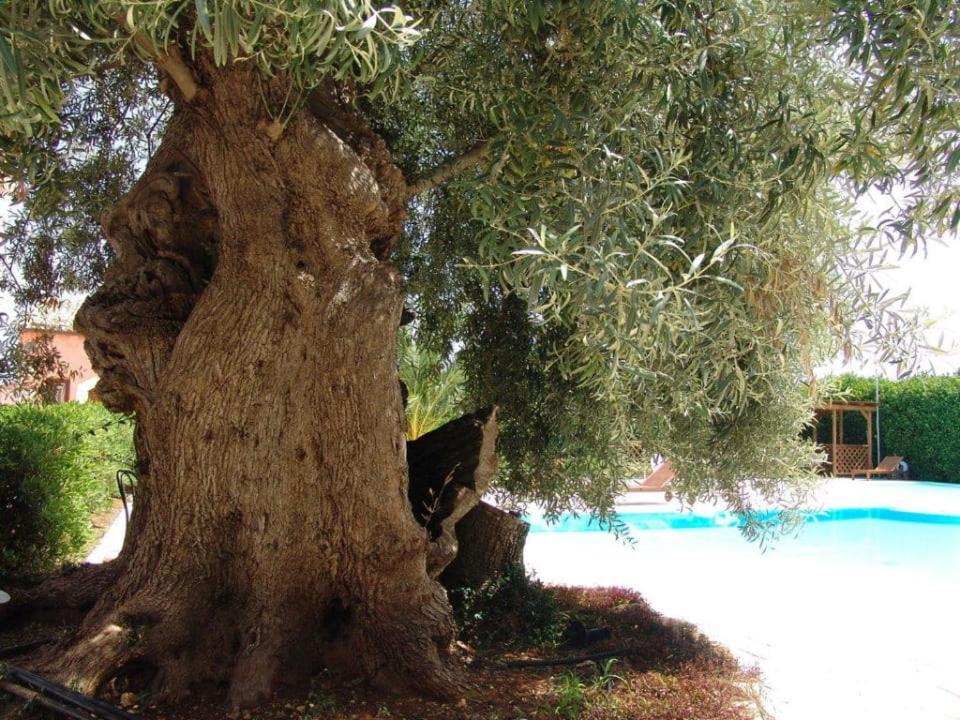 Hotel Lady Lusya كاسيبيلي المظهر الخارجي الصورة